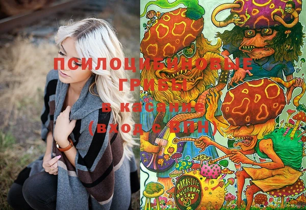 кокс Балабаново